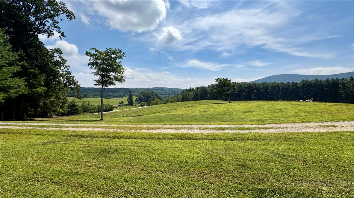 Image number 10 for the current listing
