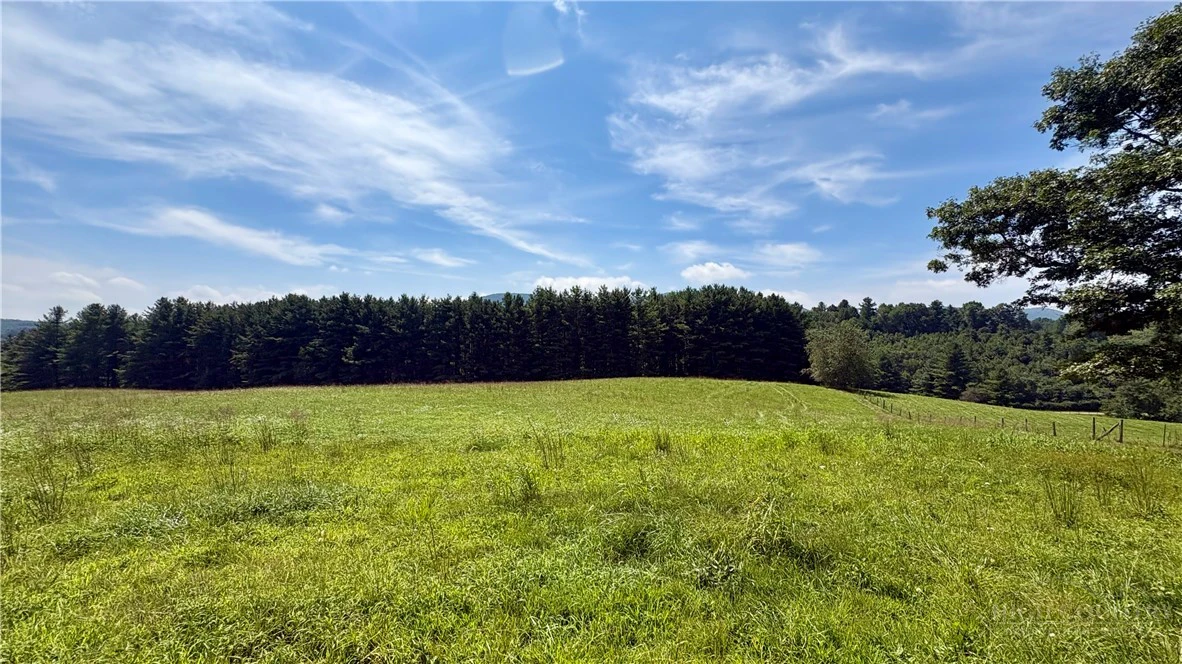 Image number 11 for the current listing