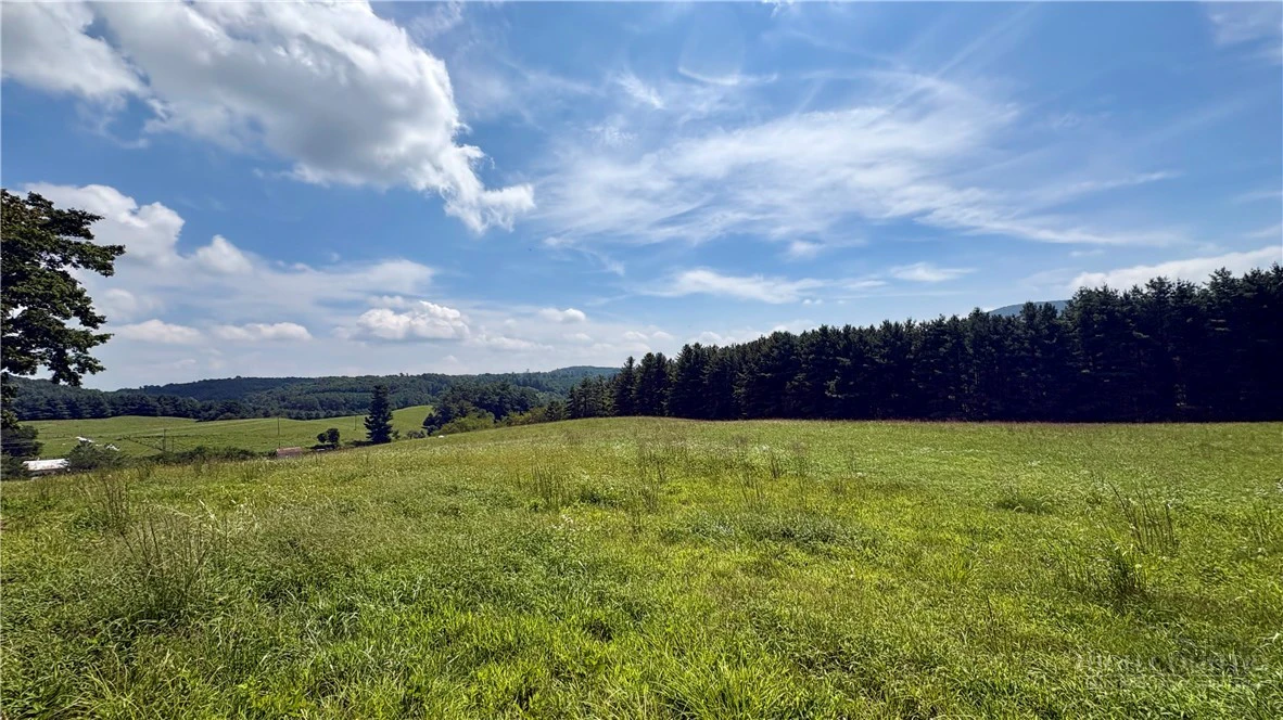 Image number 12 for the current listing
