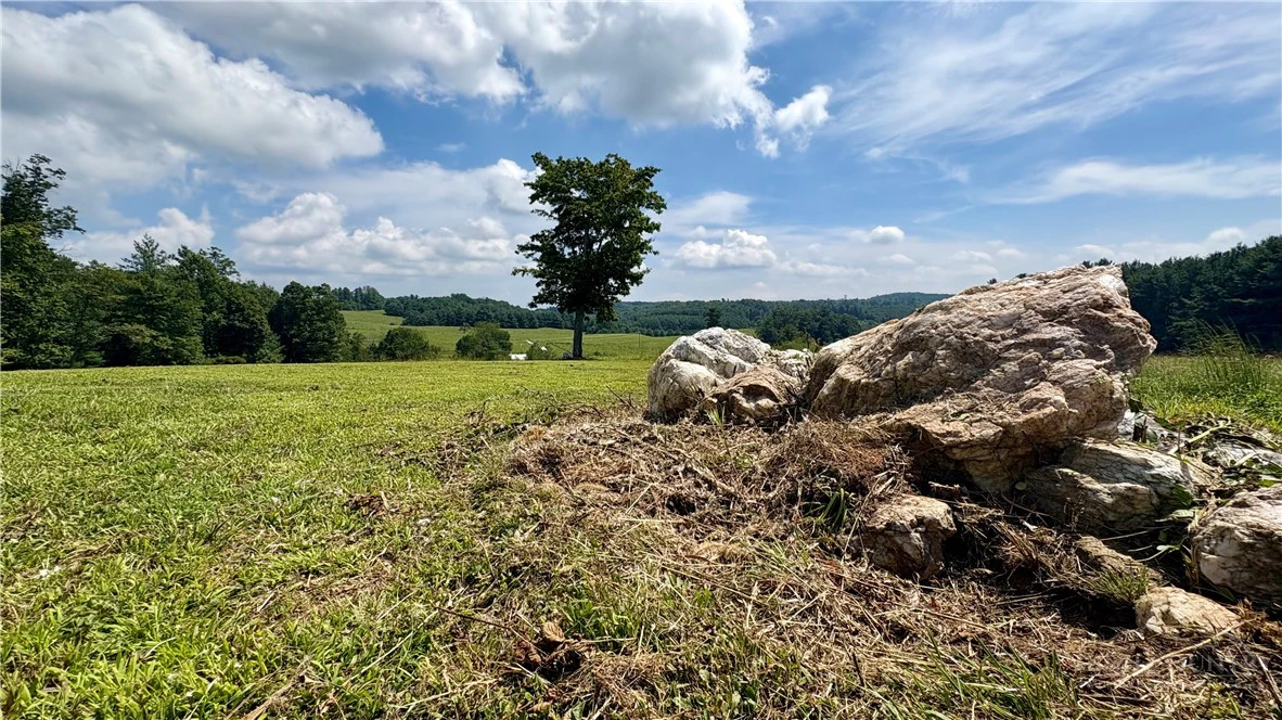 Image number 14 for the current listing