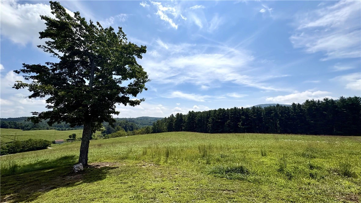 Image number 15 for the current listing