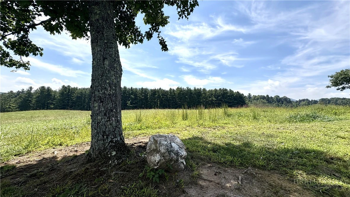 Image number 16 for the current listing