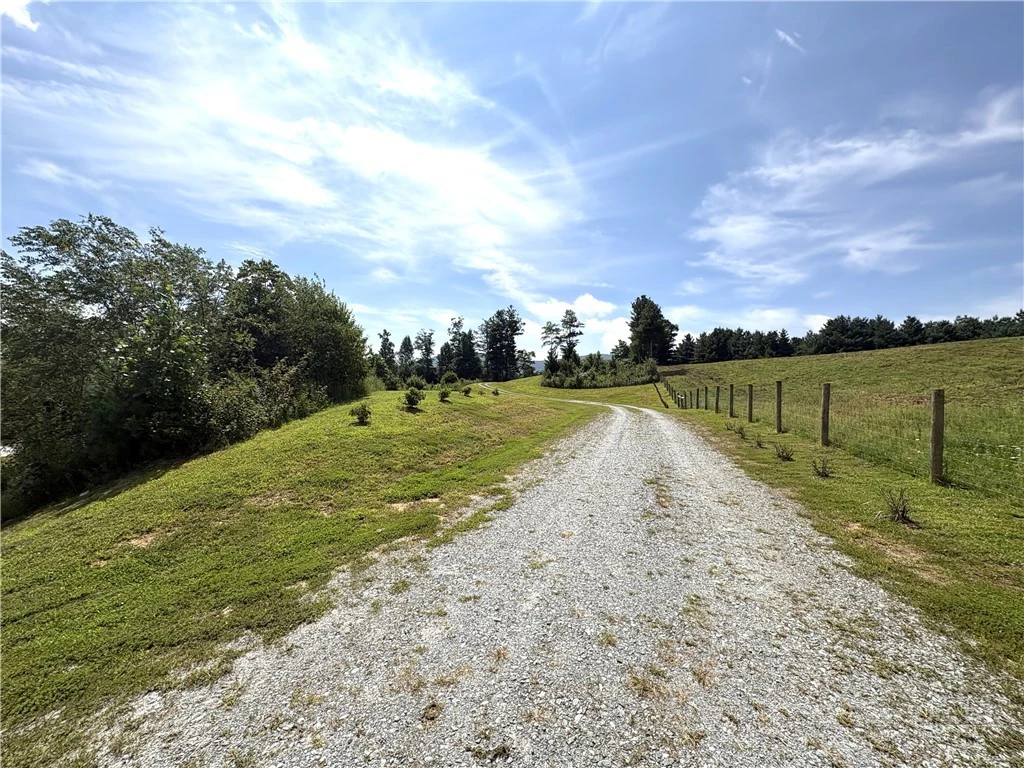 Image number 20 for the current listing