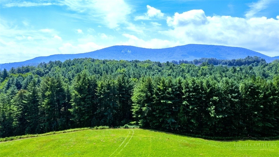 Image number 1 for the current listing