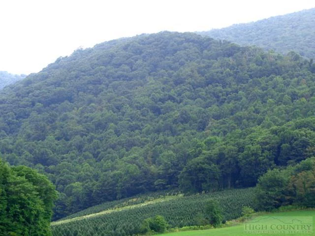 Image number 1 for the current listing