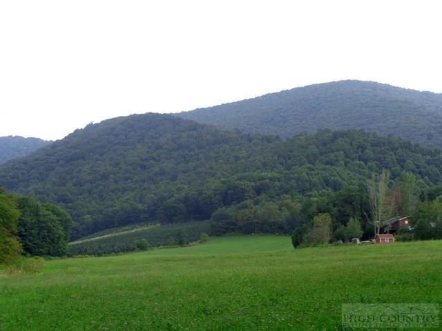 Image number 3 for the current listing