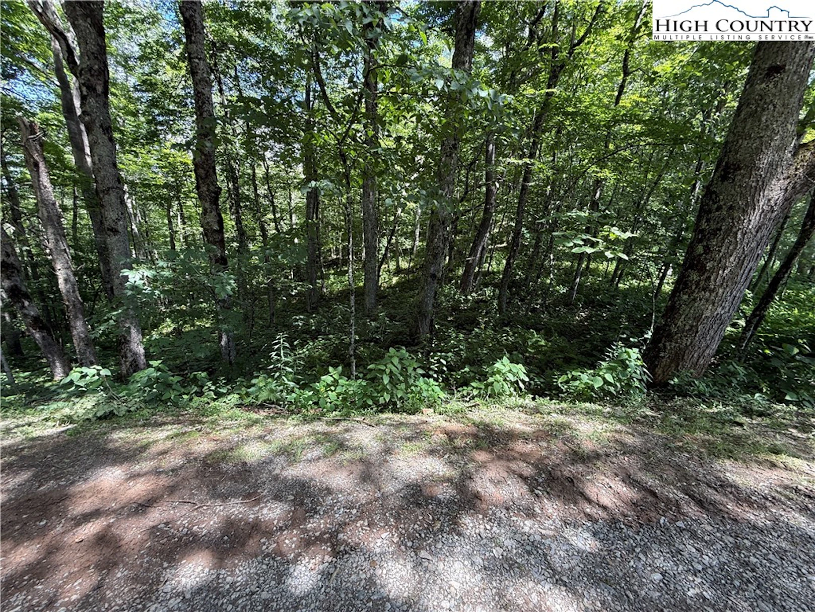 Image number 19 for the current listing