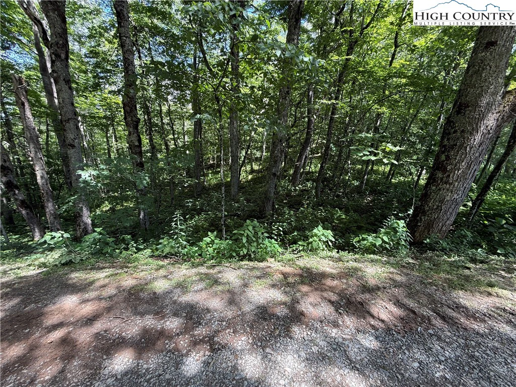 Image number 19 for the current listing