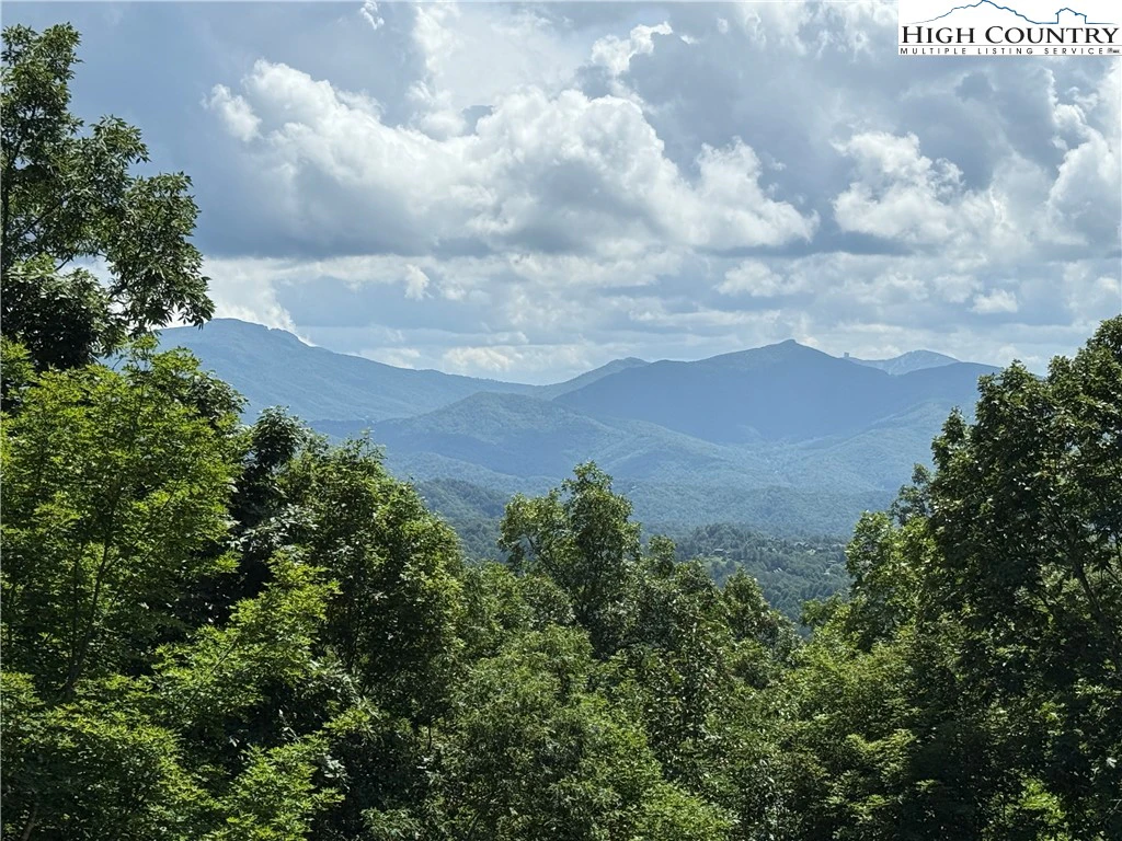 Image number 1 for the current listing
