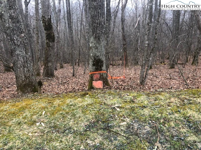 Image number 1 for the current listing