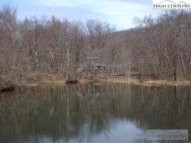 Image number 4 for the current listing