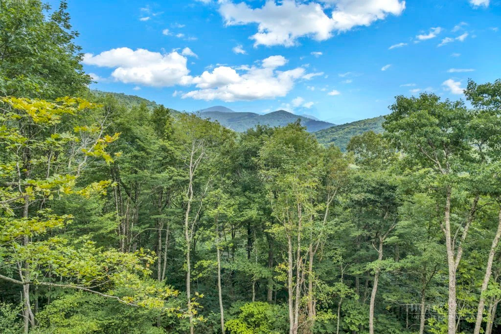 Image number 6 for the current listing