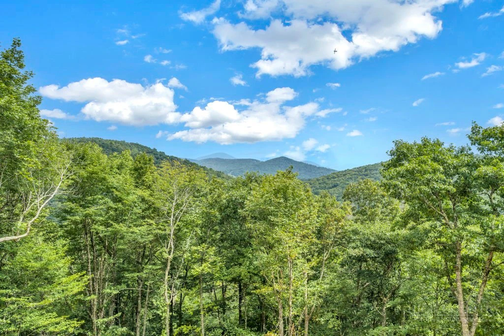 Image number 1 for the current listing