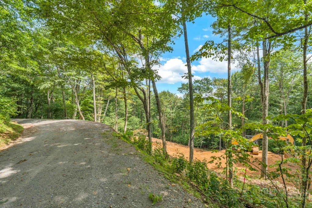 Image number 9 for the current listing