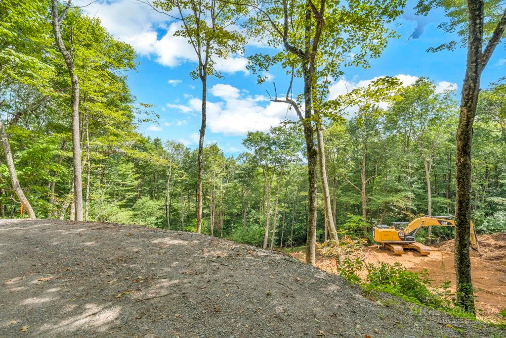 Image number 10 for the current listing
