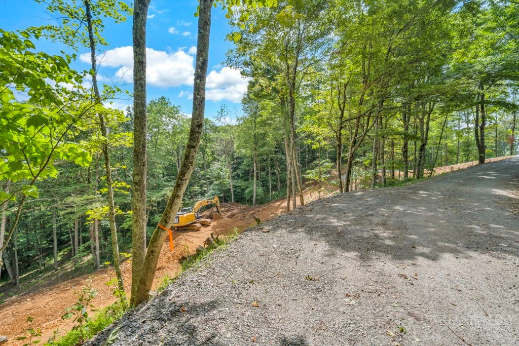 Image number 11 for the current listing