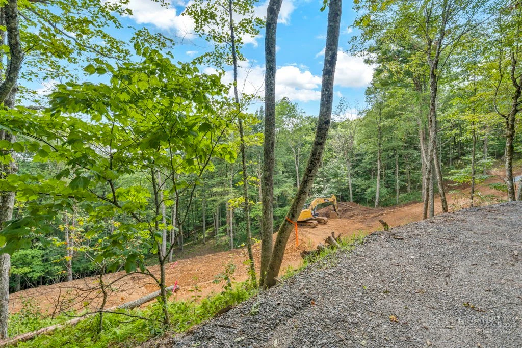 Image number 12 for the current listing