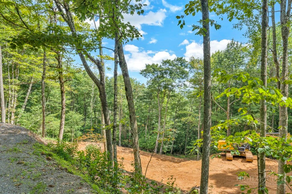 Image number 13 for the current listing