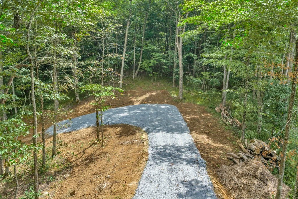 Image number 17 for the current listing