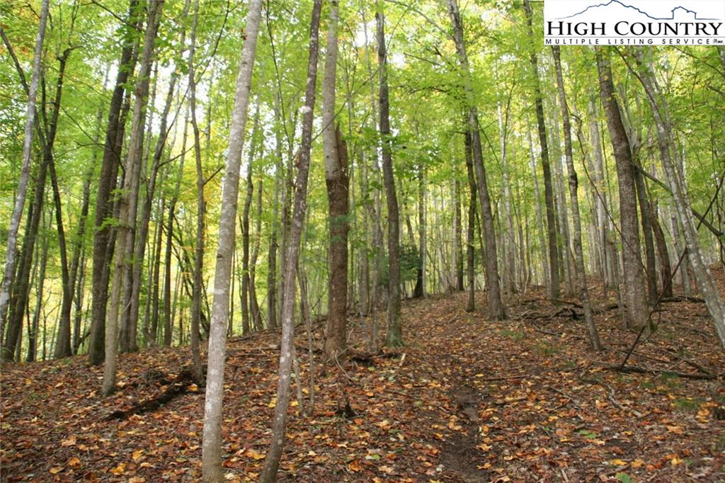Image number 1 for the current listing