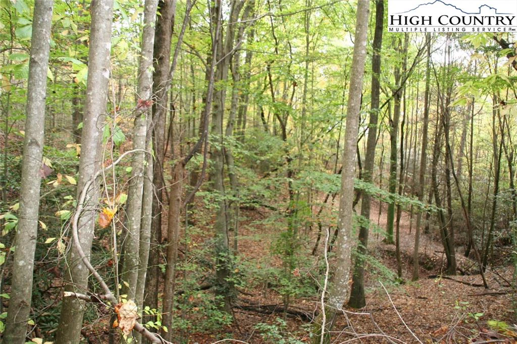 Image number 4 for the current listing