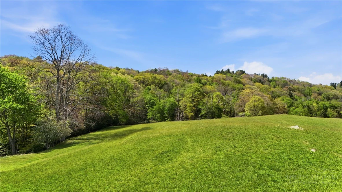 Image number 1 for the current listing