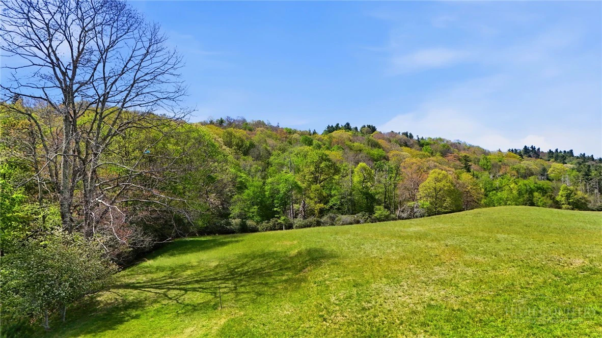 Image number 3 for the current listing