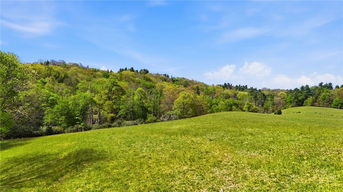 Image number 5 for the current listing