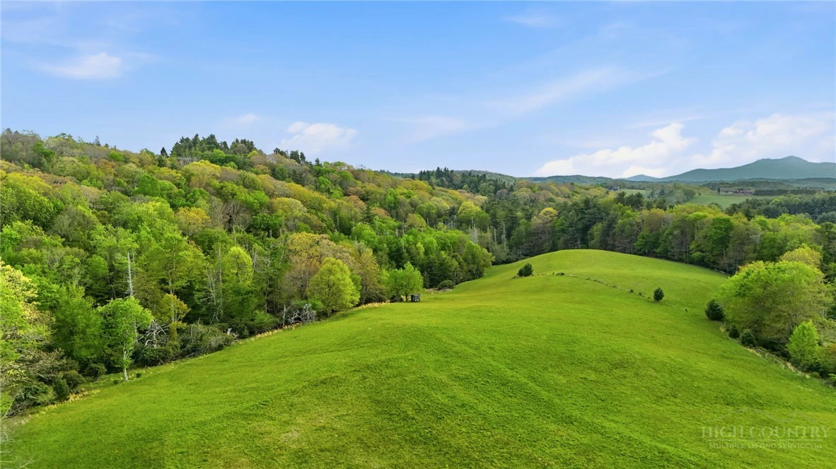 Image number 7 for the current listing