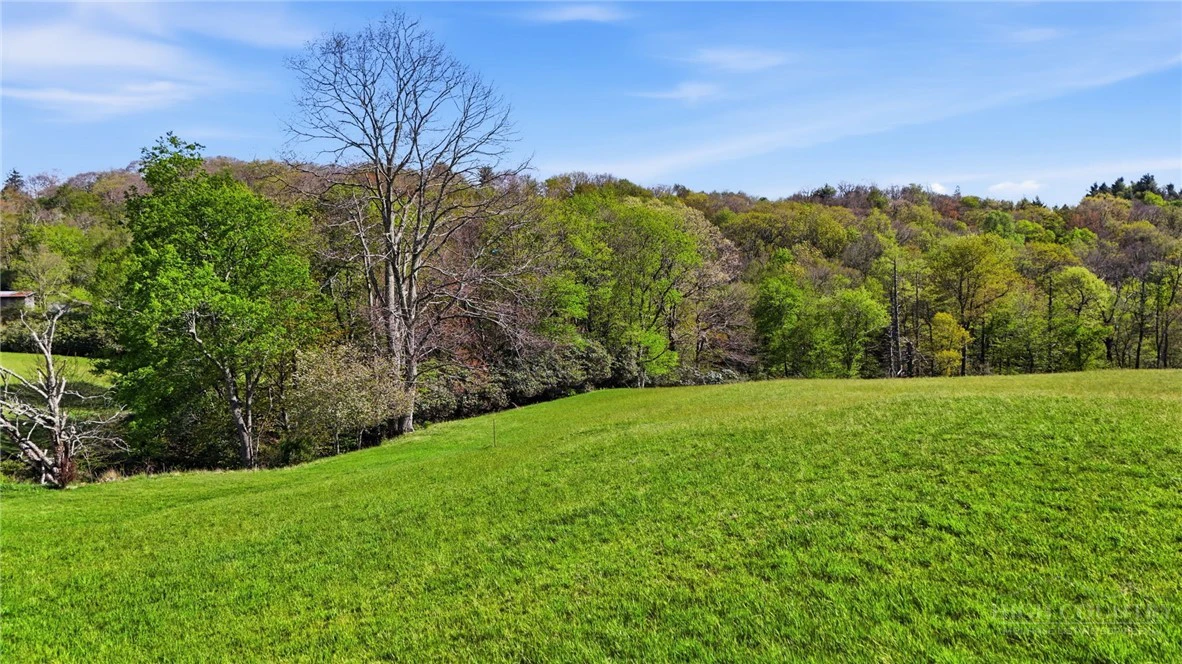 Image number 8 for the current listing