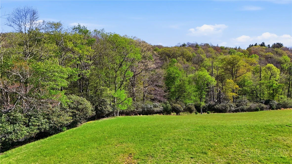 Image number 9 for the current listing