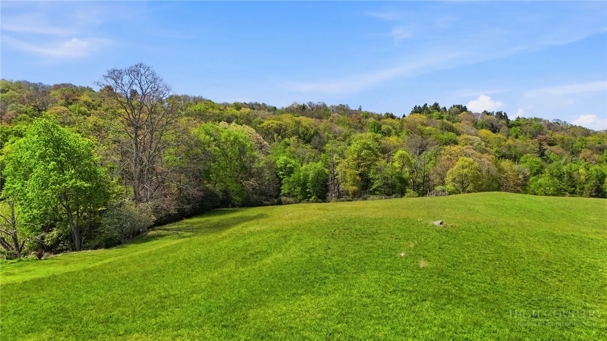 Image number 10 for the current listing