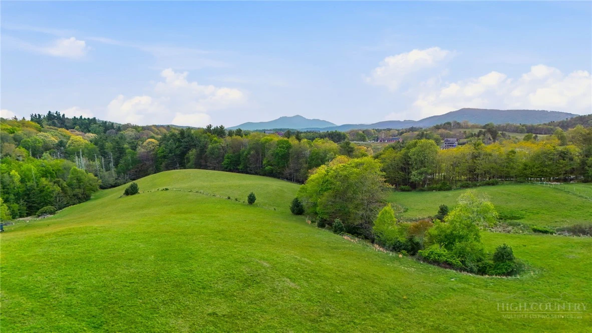 Image number 14 for the current listing