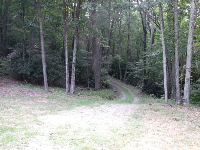 Image number 1 for the current listing