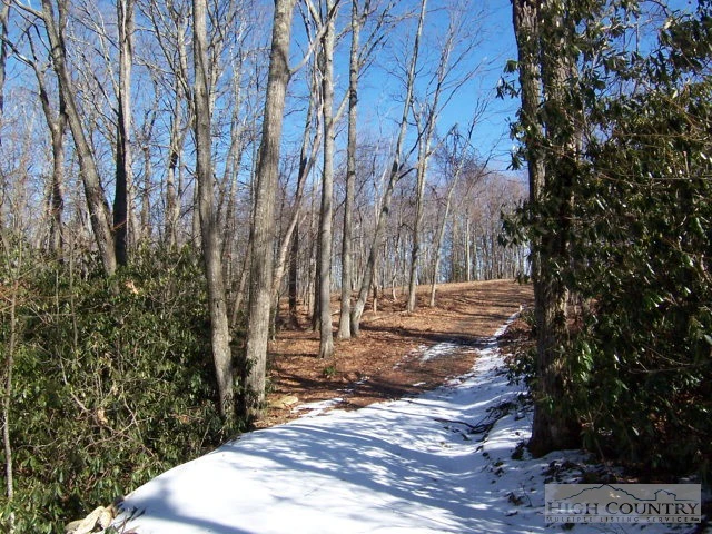 Image number 3 for the current listing