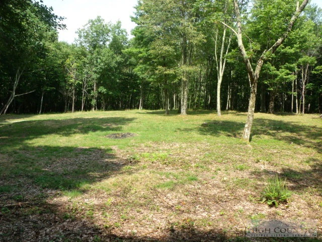 Image number 5 for the current listing