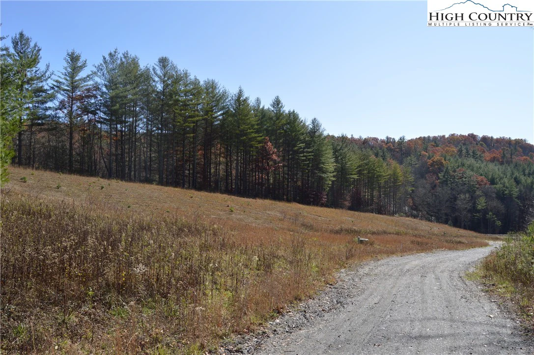 Image number 2 for the current listing
