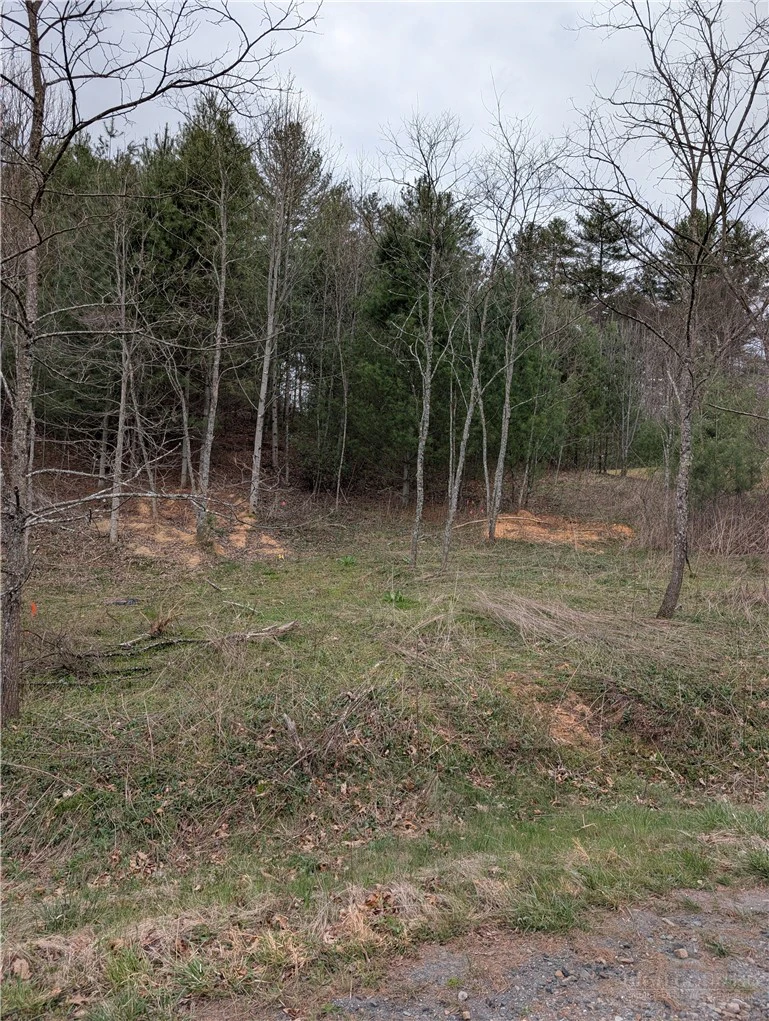 Image number 20 for the current listing