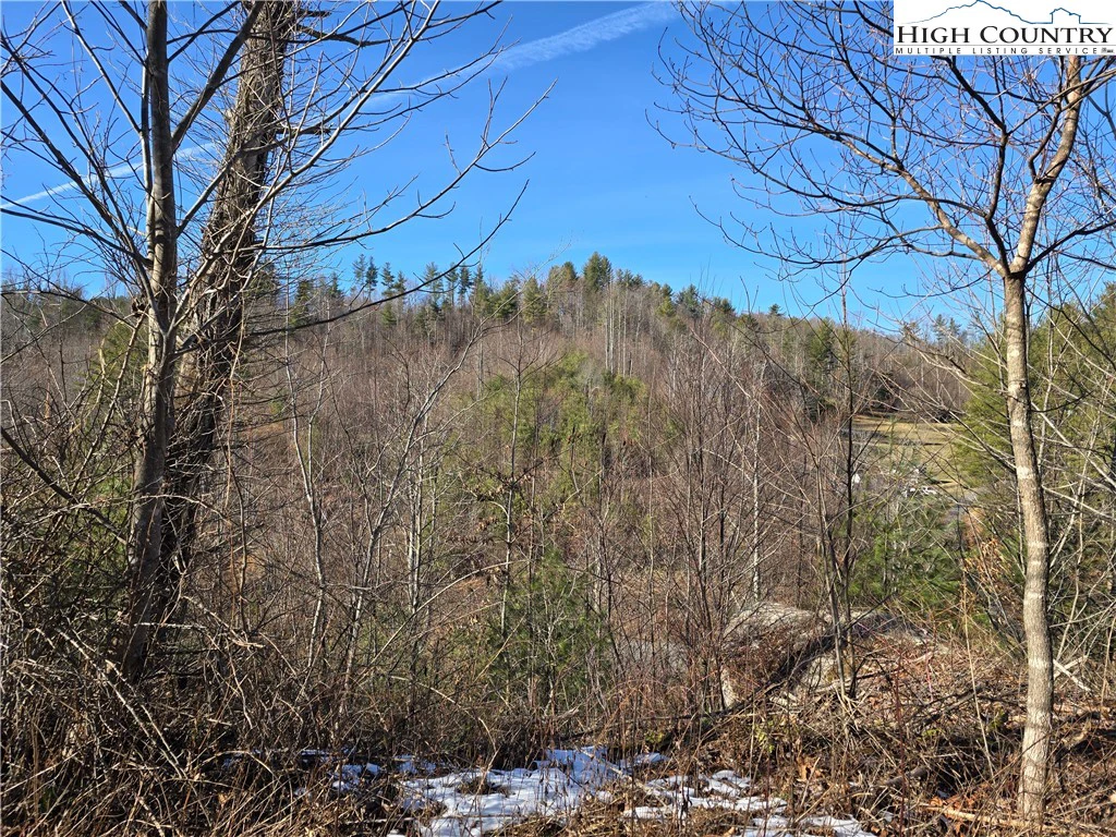 Image number 16 for the current listing