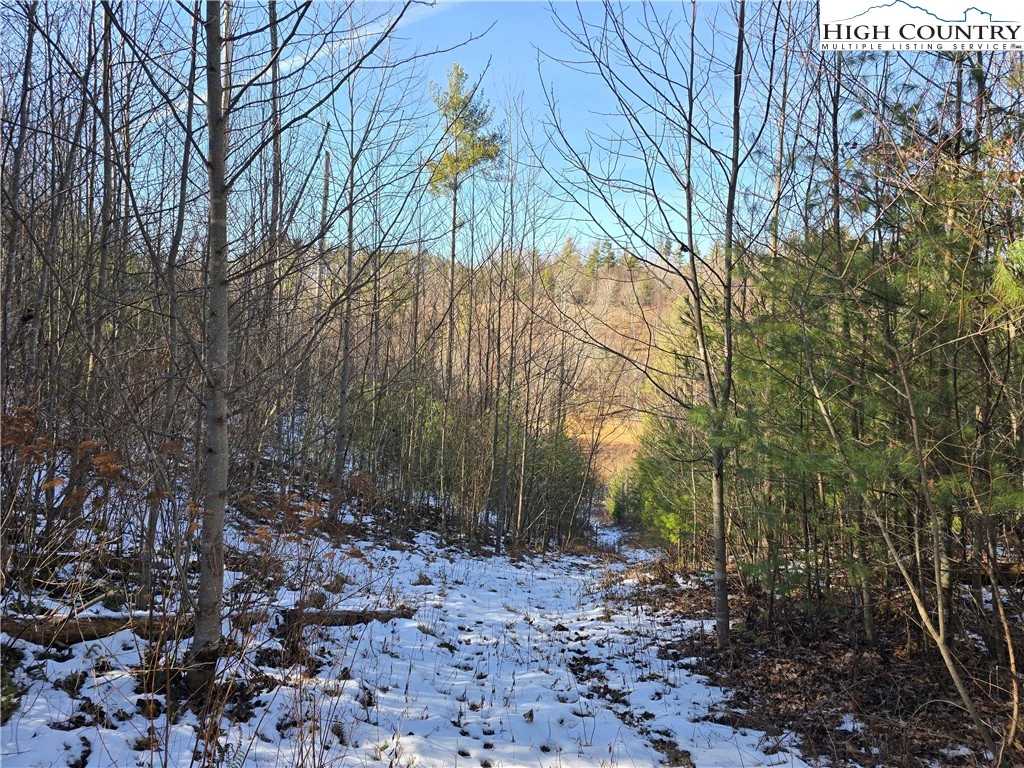 Image number 13 for the current listing