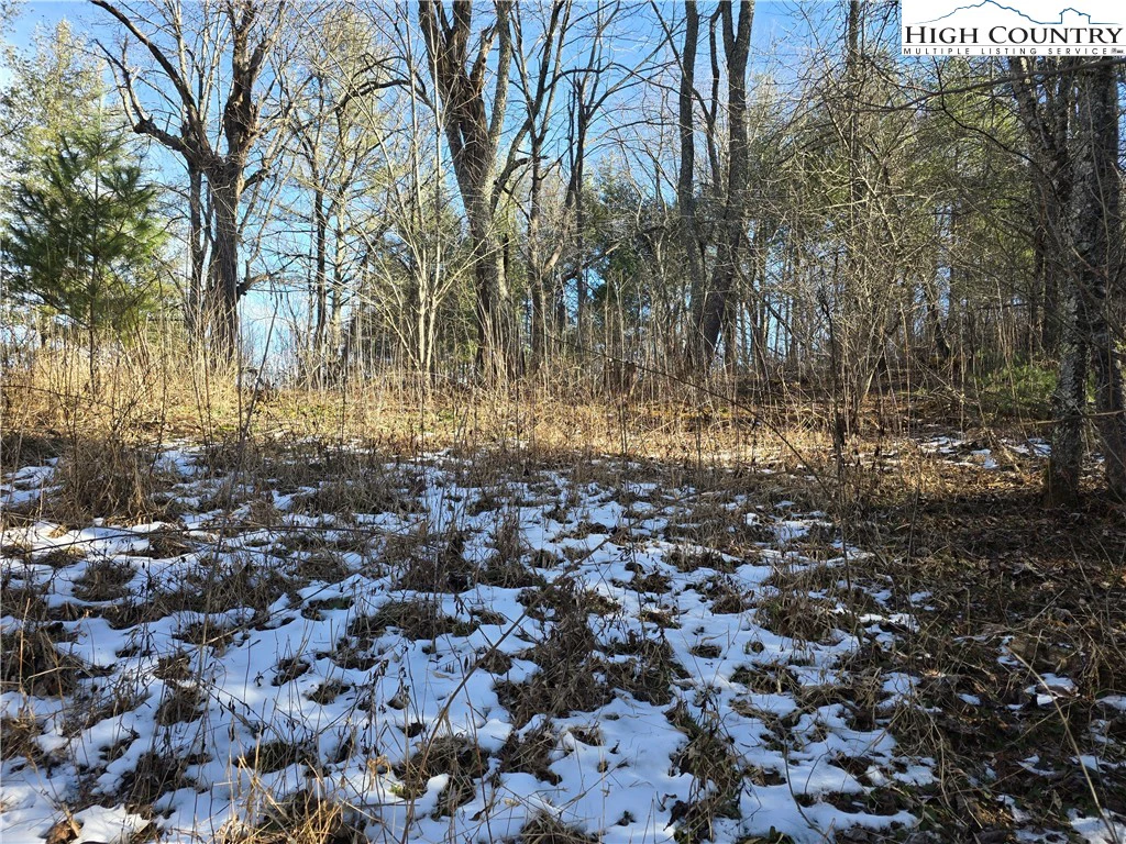 Image number 2 for the current listing