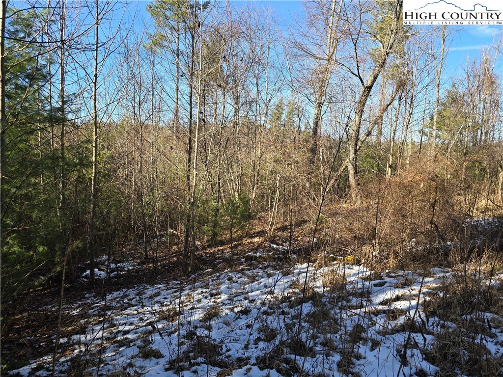 Image number 12 for the current listing