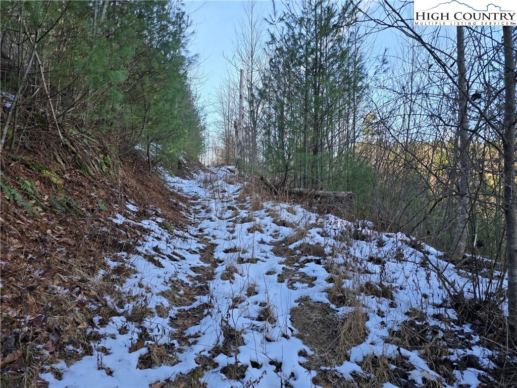 Image number 11 for the current listing