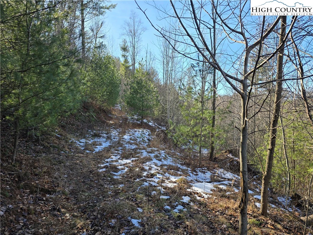 Image number 9 for the current listing