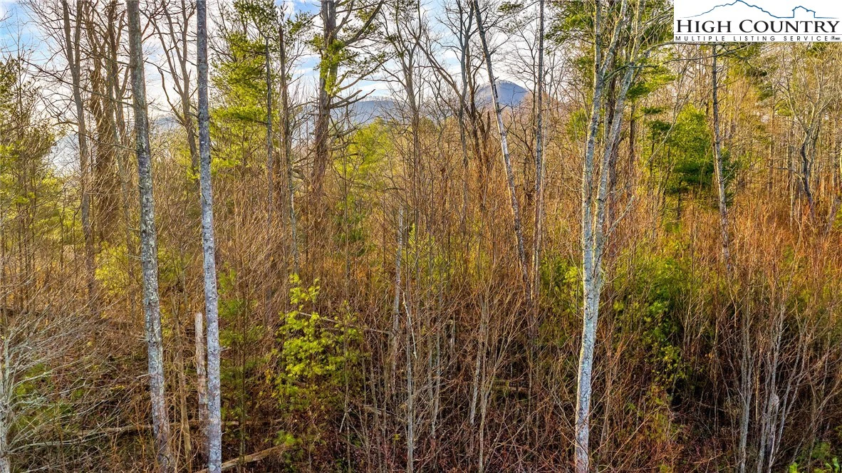 Image number 5 for the current listing