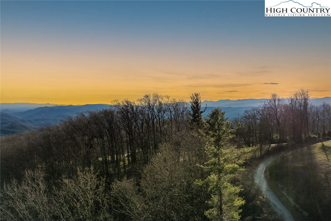 Image number 1 for the current listing
