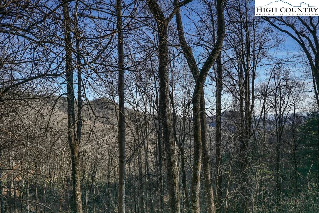 Image number 21 for the current listing