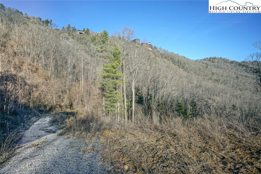 Image number 13 for the current listing