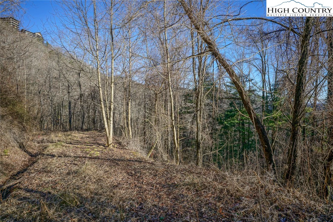 Image number 11 for the current listing