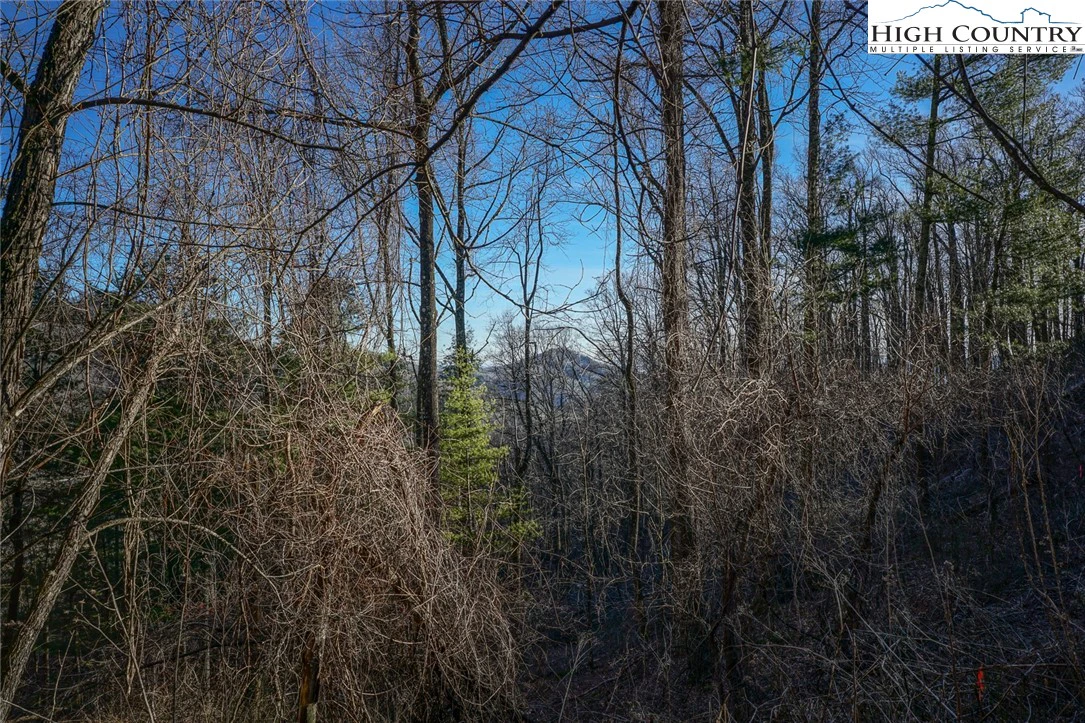 Image number 10 for the current listing